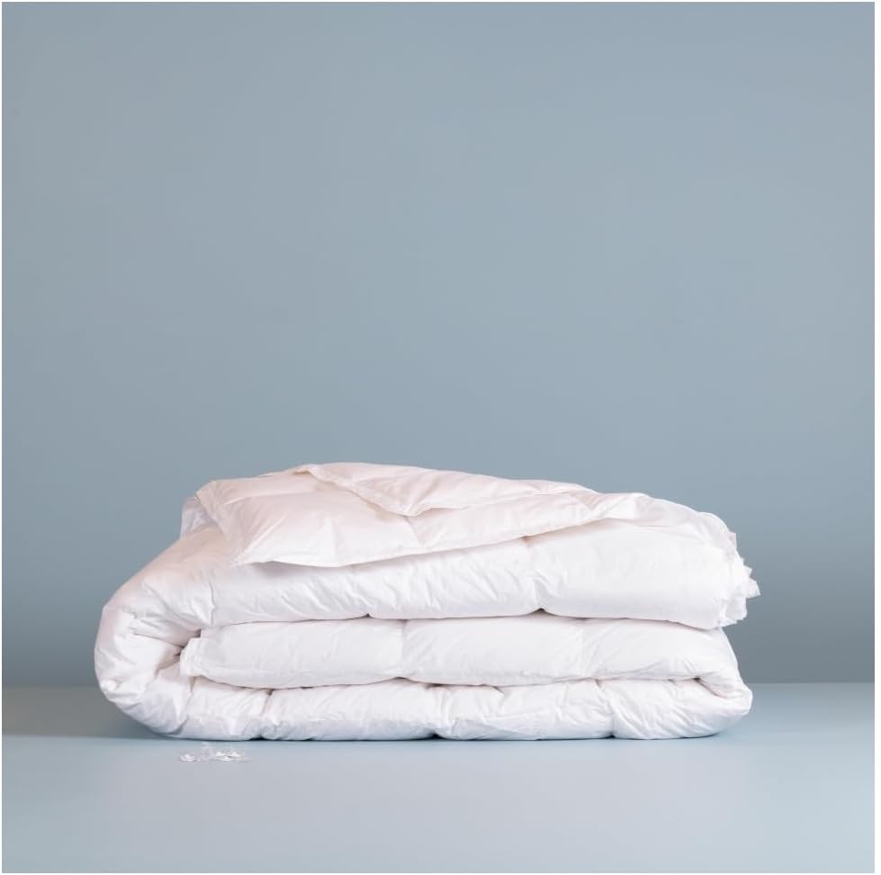 minardi dream 4 stagioni 2